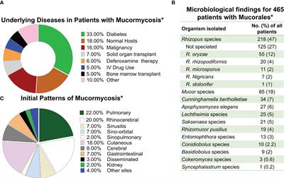 Mucormycosis in 2023: an update on pathogenesis and management